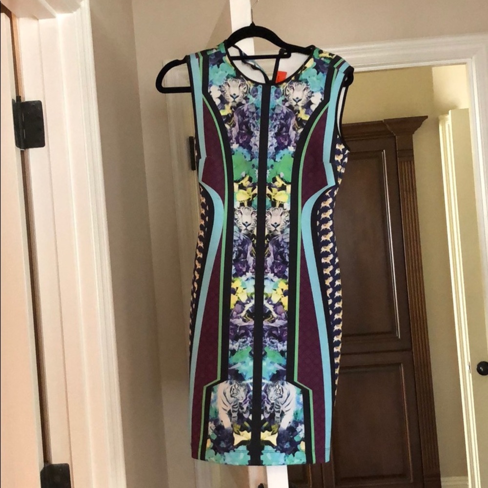 Clover Canyon body hugging dress